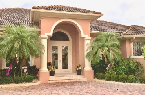 Beautiful Orchids Attached to Palm Trees In Front of Stunning Mediterranean Style Home