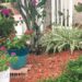 Beautiful Purple And Burgundy Flowers In White And Blue Pots In Garden