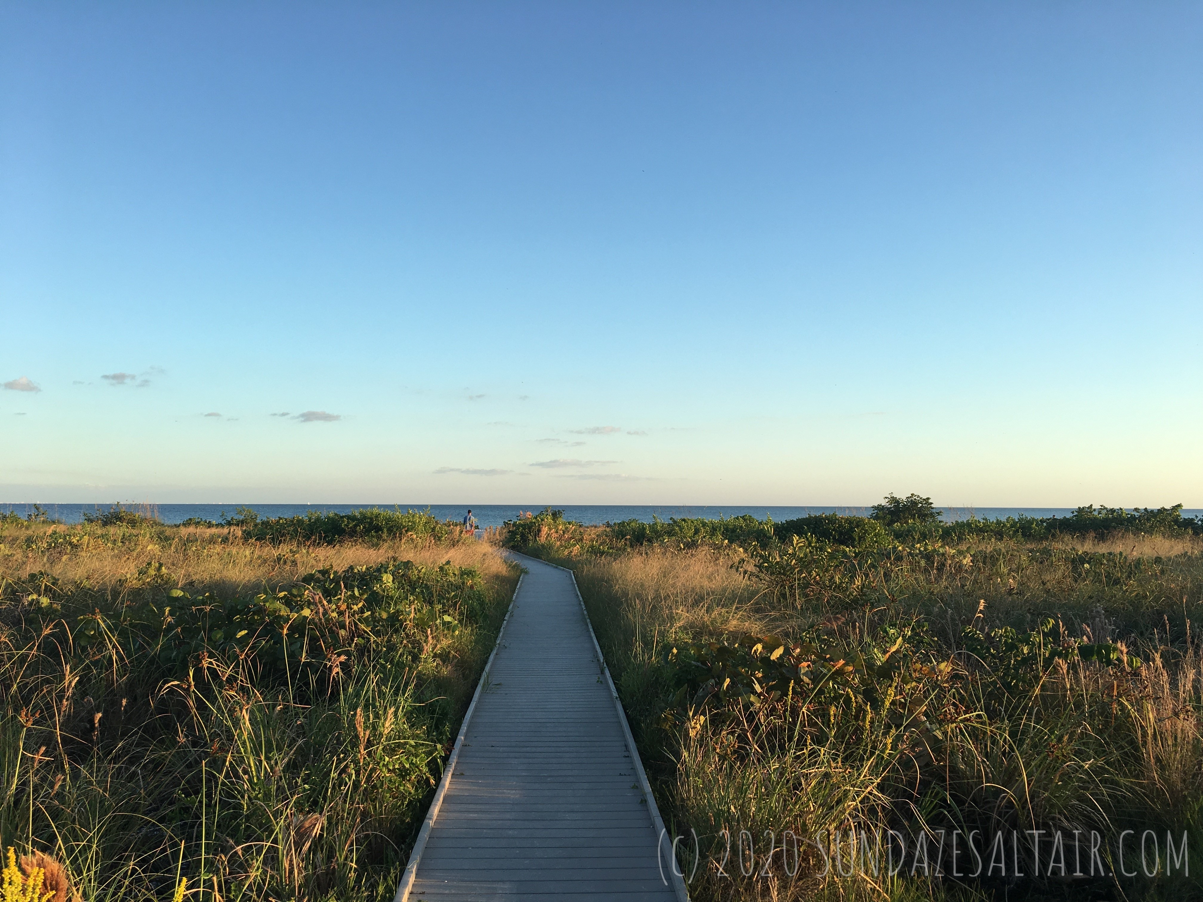Boardwalk To Beach Through Golden Grasses Ending At Beautiful Beach And Clear Blue Skies