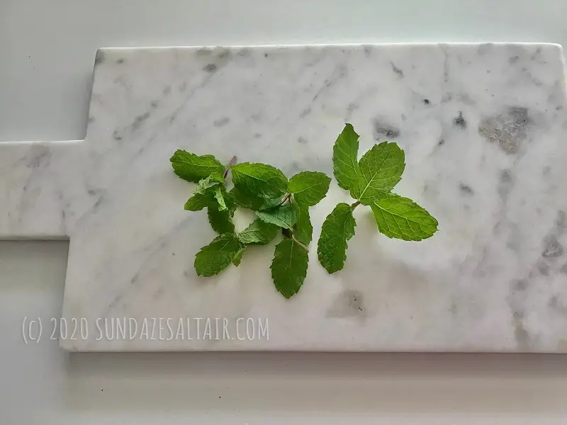 Fresh Mint Sprigs On Marble Cutting Board