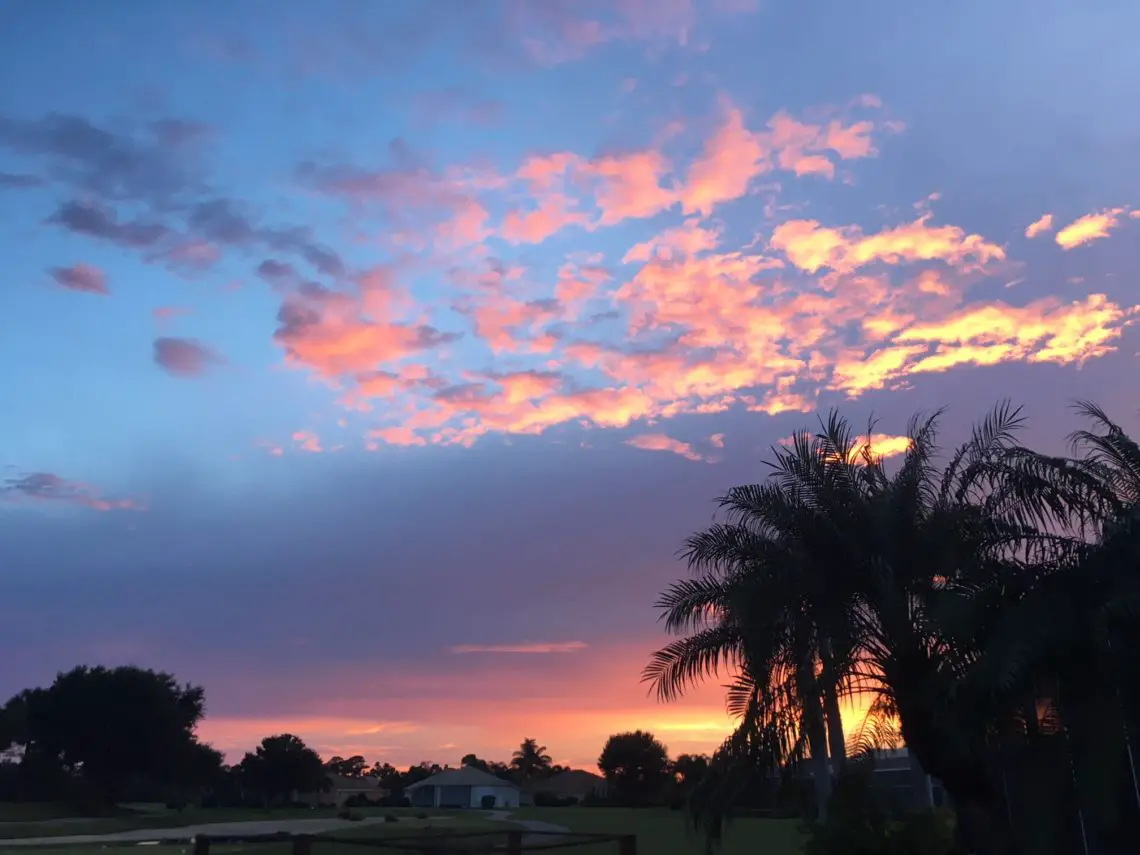 Stunning Pink And Yellow Clouds Against Sky At Twilight With Palm Trees In The Foreground