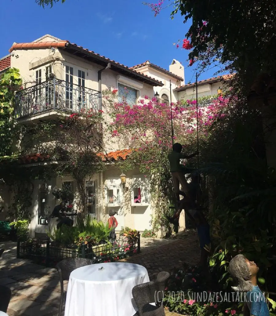 Bougainvillea growing wild in courtyard of Spanish style outdoor restaurant in Florida