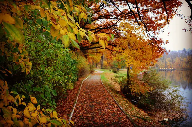 Leaves Start Changing Color As Summer Turns To Fall Along This Path Around A Lake On An Early Autumn Morning