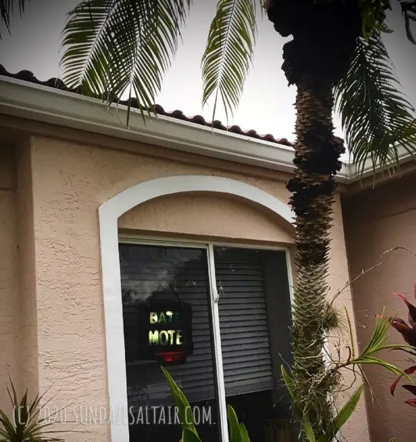 Bates Motel Sign Hanging In Window Under Palm Tree At Twilight