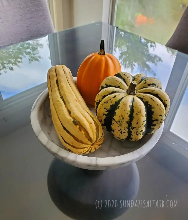 Fall Gourds On Marble Dish Sitting On Glass Table