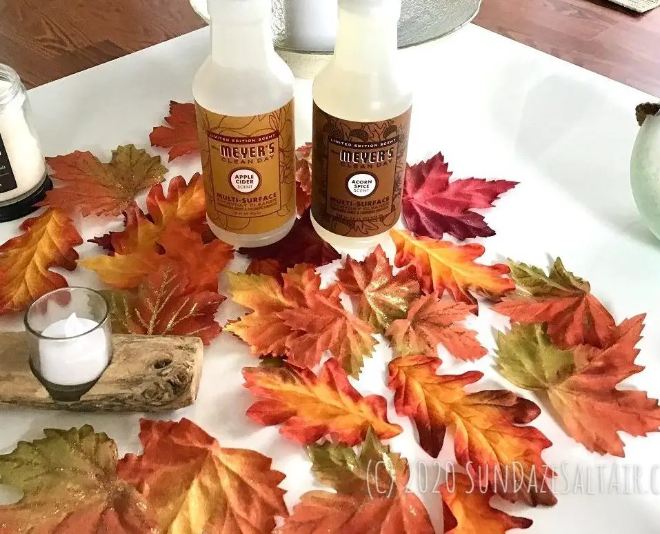 Mrs. Meyer's Limited Edition Fall Scents Review: Acorn Spice & Apple Cider - Make your home smell like a New England leaf peeping road trip - Fall Leaves Scatter On Table Surround Mrs. Meyer's Fall Scents