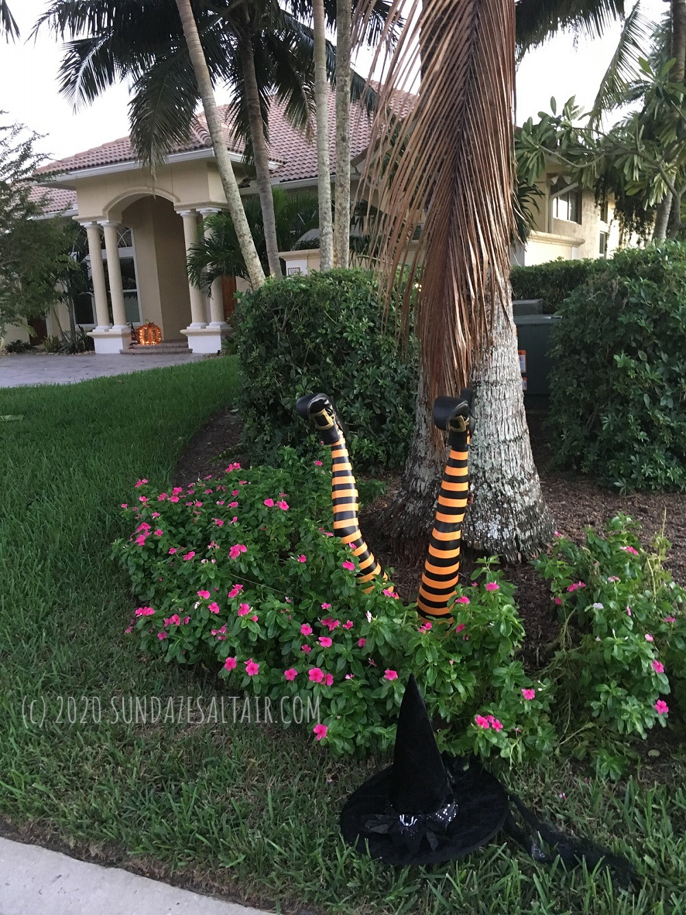 Witch Crash Landed In Yard Halloween Decoration And Pumpkin On Porch