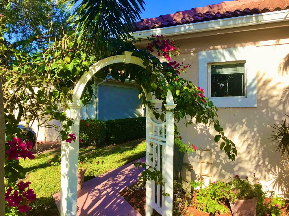 How To Train Bougainvillea Over An Arbor Bright Purple Flowers Arch Over Walkway In Charming Tropical Garden