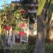 Charming White Vinyl Arbor With Beautiful Climbing Bougainvillea Under Palm Trees