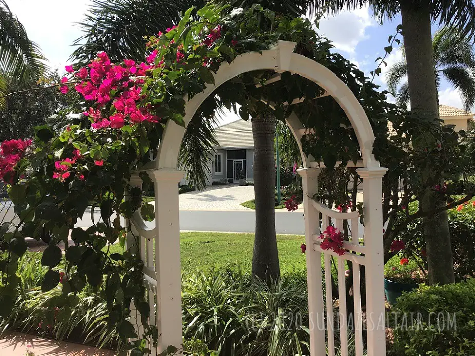 Define Your Walkways & Entrance With A Charming Arbor With Cascading Flowers By Training Flowering Vines Like This Bougainvillea
