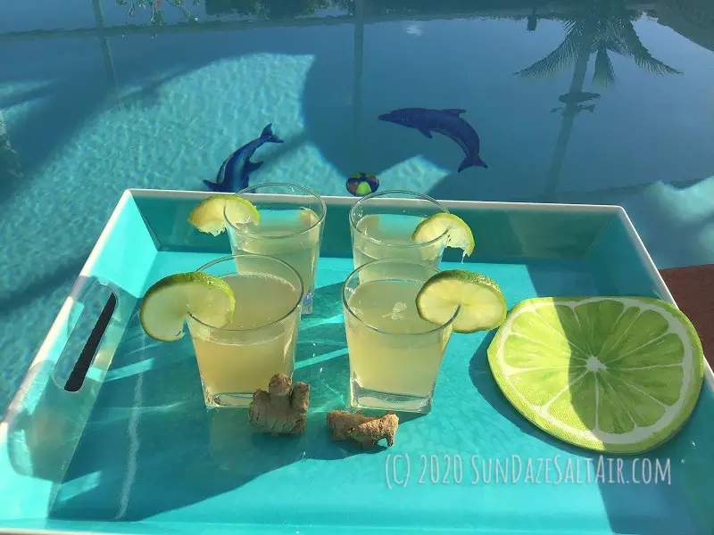 Drink some spicy, zesty lime-infused ginger ale poolside while the dolphins play