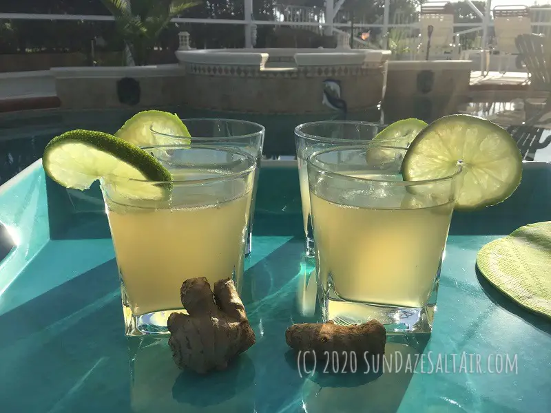 Homemade ginger with a twist of lime under the summer sun at the pool