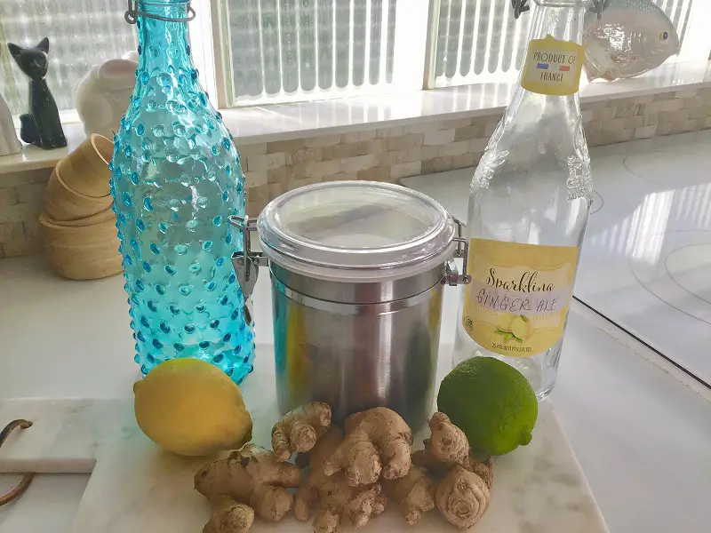 Ingredients for homemade ginger ale include bottles for ginger syrup; ginger root; sugar; and limes or lemons