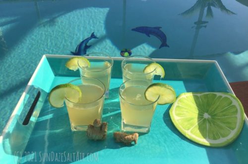 Homemade ginger ale sweetened naturally - Drink some spicy, zesty lime-infused ginger ale poolside while the dolphins play -larger