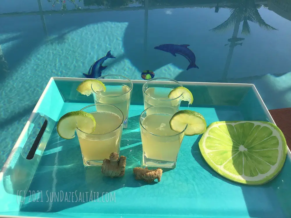 Homemade ginger ale sweetened naturally - Drink some spicy, zesty lime-infused ginger ale poolside while the dolphins play -larger
