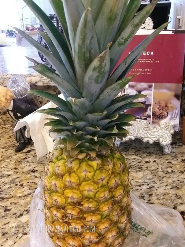 How To Grow A Pineapple From Another Pineapple Top? Start with a healthy pineapple