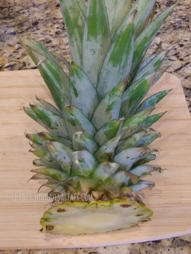 How To Grow A Pineapple From Another Pineapple Top: Easy & Fun... Slice off the top aka crown