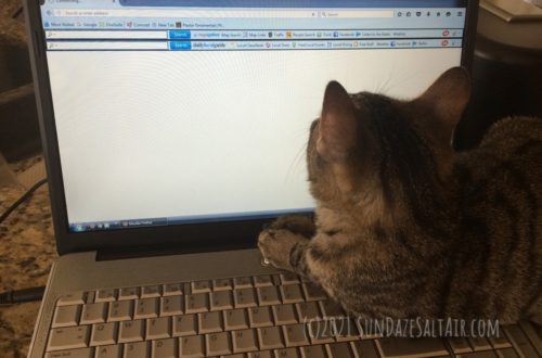 Cannot Send Mail Because Outgoing Server Failed - Quick Fix For When Your Email Won't Send... Cat Sitting & Working At Computer