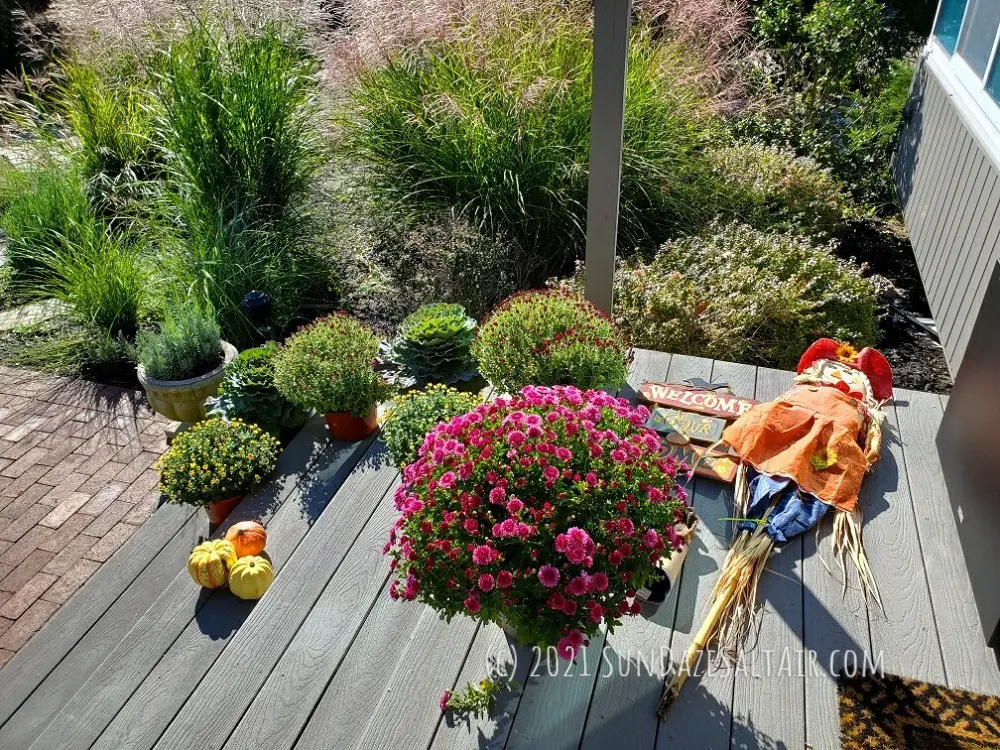 October Garden Chores_Essential Autumn Tasks In Your Garden_Add glorious fall color with mums, gourds & a not too scary scarecrow