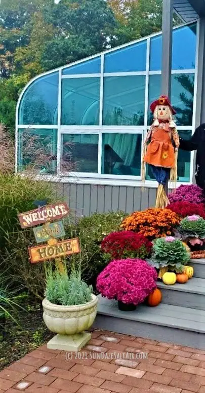 Colorful mums, ornamental cabbage & kale add vibrant colors to an autumn garden. A welcoming sign & scarecrow add to the festive fall vibe.