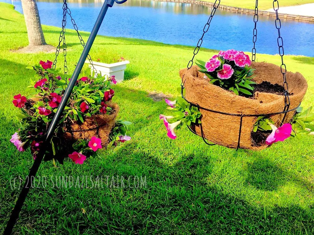 How to Make Beautiful Hanging Flower Baskets Using Coconut Coir Liners - Like Disney_baskets overlook lake