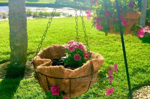 How to Make Beautiful Hanging Flower Baskets Using Coconut Coir Liners like Disney - wire hanging baskets over lake