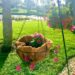 How to Make Beautiful Hanging Flower Baskets Using Coconut Coir Liners like Disney - wire hanging baskets over lake
