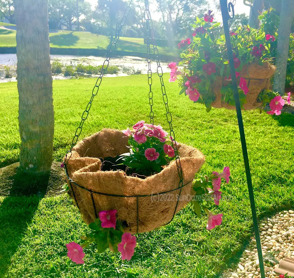 How to Make Beautiful Hanging Flower Baskets Using Coconut Coir Liners like Disney - wire hanging baskets over lake