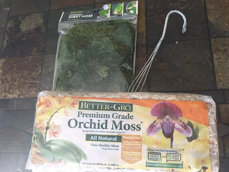 Sphagnum moss, preserved moss & hanger for bromeliad kokedama