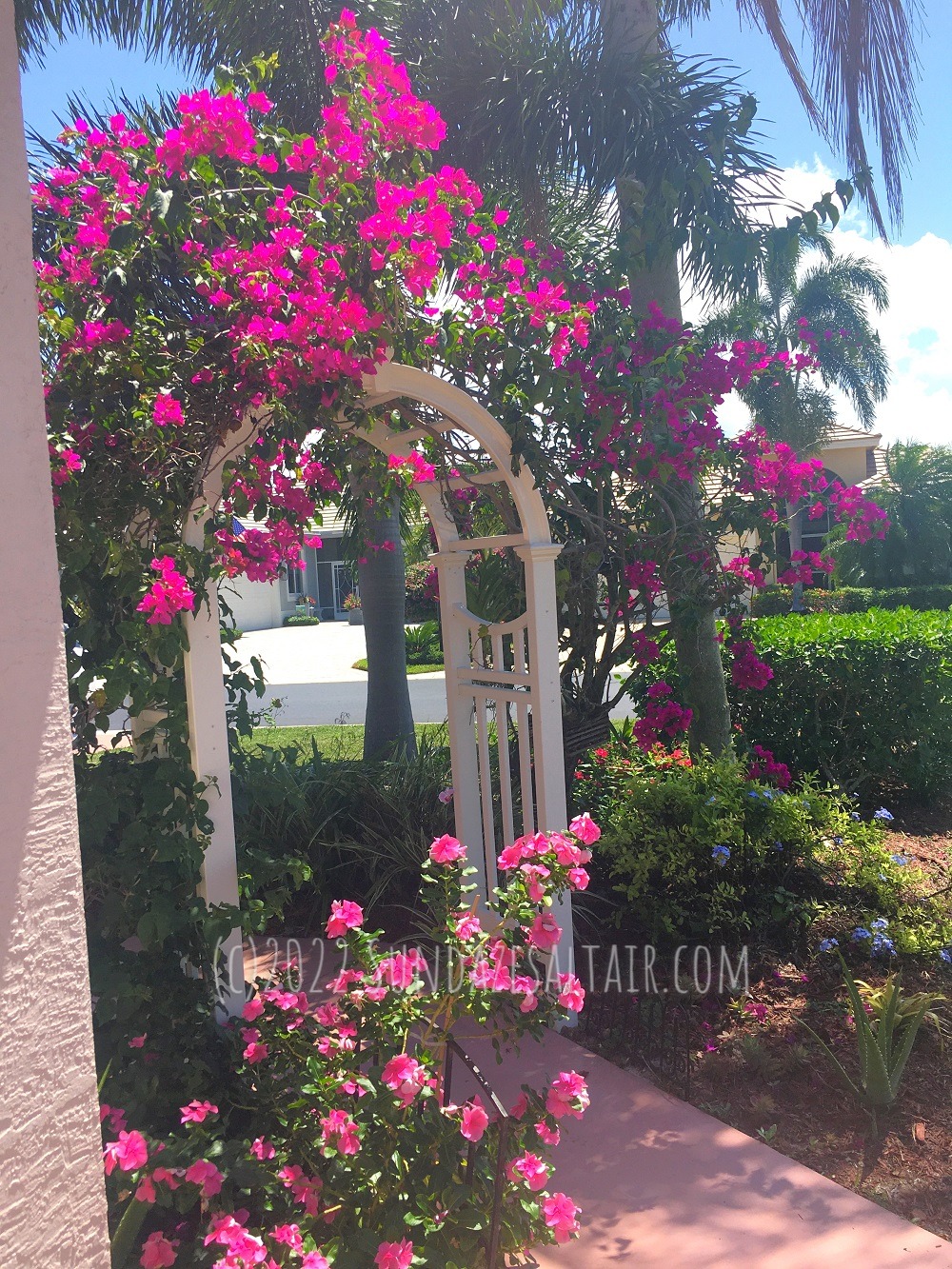 Key-West-Style-Tropical-Arbor-Every garden needs an arbor for cascading flowers like this bougainvillea